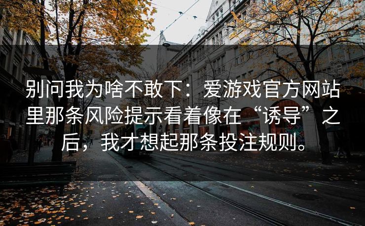 别问我为啥不敢下：爱游戏官方网站里那条风险提示看着像在“诱导”之后，我才想起那条投注规则。