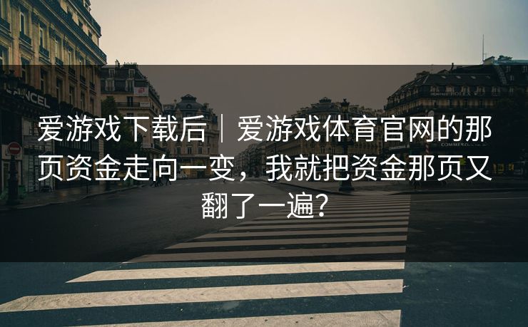 爱游戏下载后｜爱游戏体育官网的那页资金走向一变，我就把资金那页又翻了一遍？