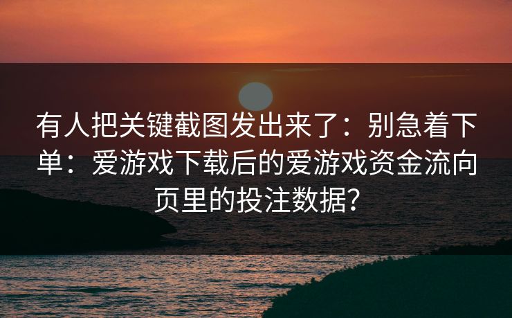 有人把关键截图发出来了：别急着下单：爱游戏下载后的爱游戏资金流向页里的投注数据？